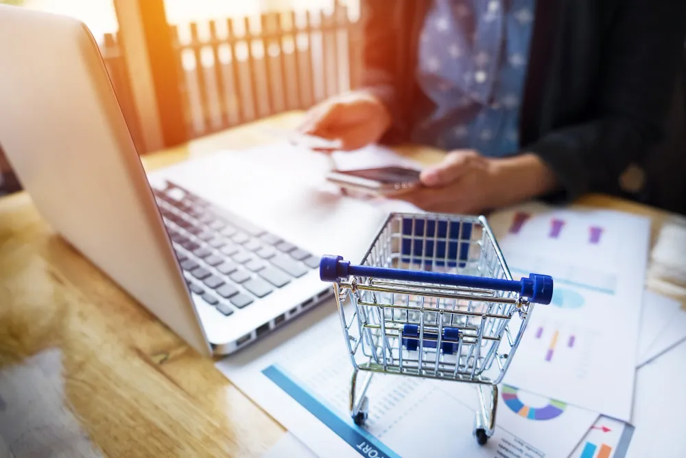 E-commerce Development